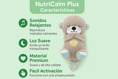 Infografía características en español